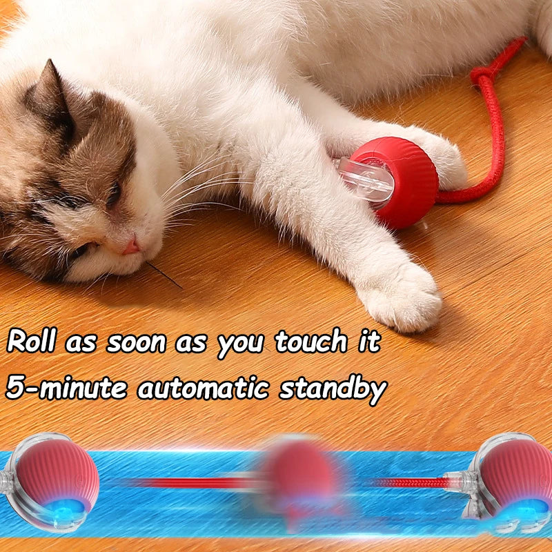 Smart Pet Training Ball – Imitates Mouse