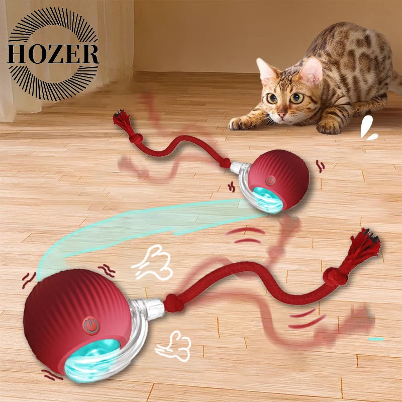 Smart Pet Training Ball – Imitates Mouse