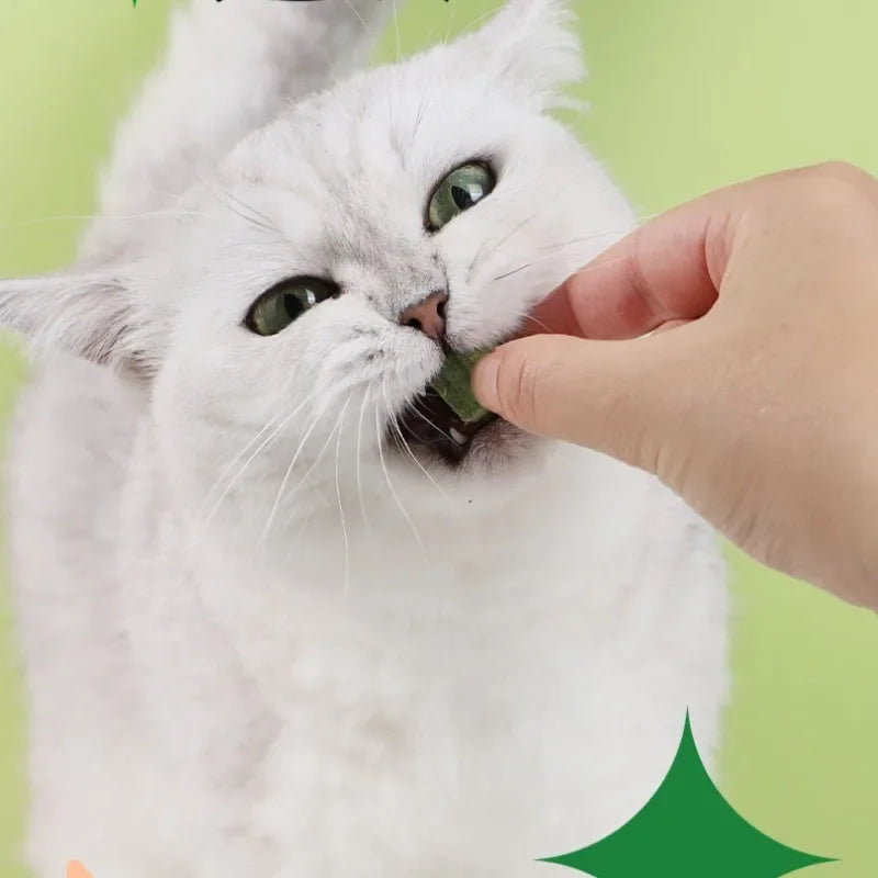 Teeth & Tummy Care Cat Grass Snacks