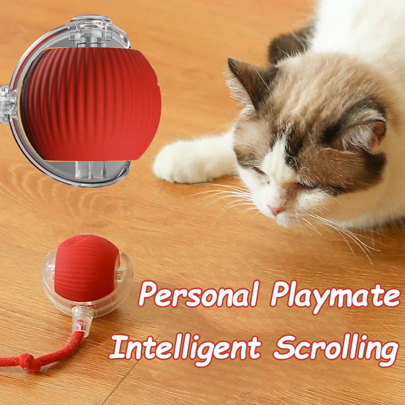 Smart Pet Training Ball – Imitates Mouse