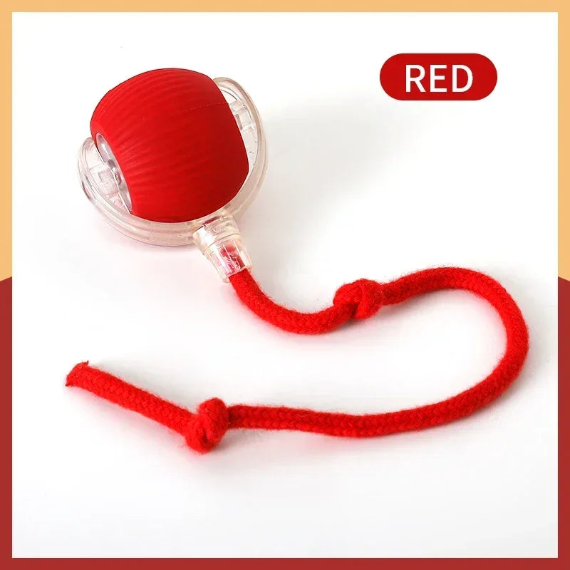Smart Pet Training Ball – Imitates Mouse